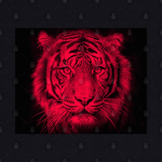 Tiger Red Head 07 by Korvus78